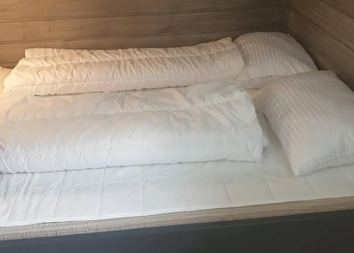 Oppdal Alpintun Stolen Ski In - Ski Out